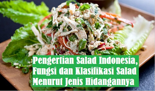 Pengertian Salad Indonesia Fungsi Dan Klasifikasi Salad Indonesia