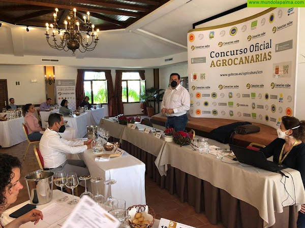 Un total de 181 vinos compiten por convertirse en el mejor de Canarias