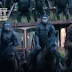 Dawn of the Planet of the Apes Movie Online