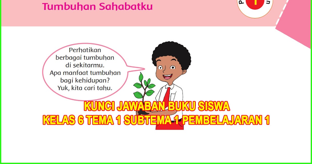 Materi kelas 6 tema 1 subtema 1 tumbuhan sahabatku pembelajaran 2