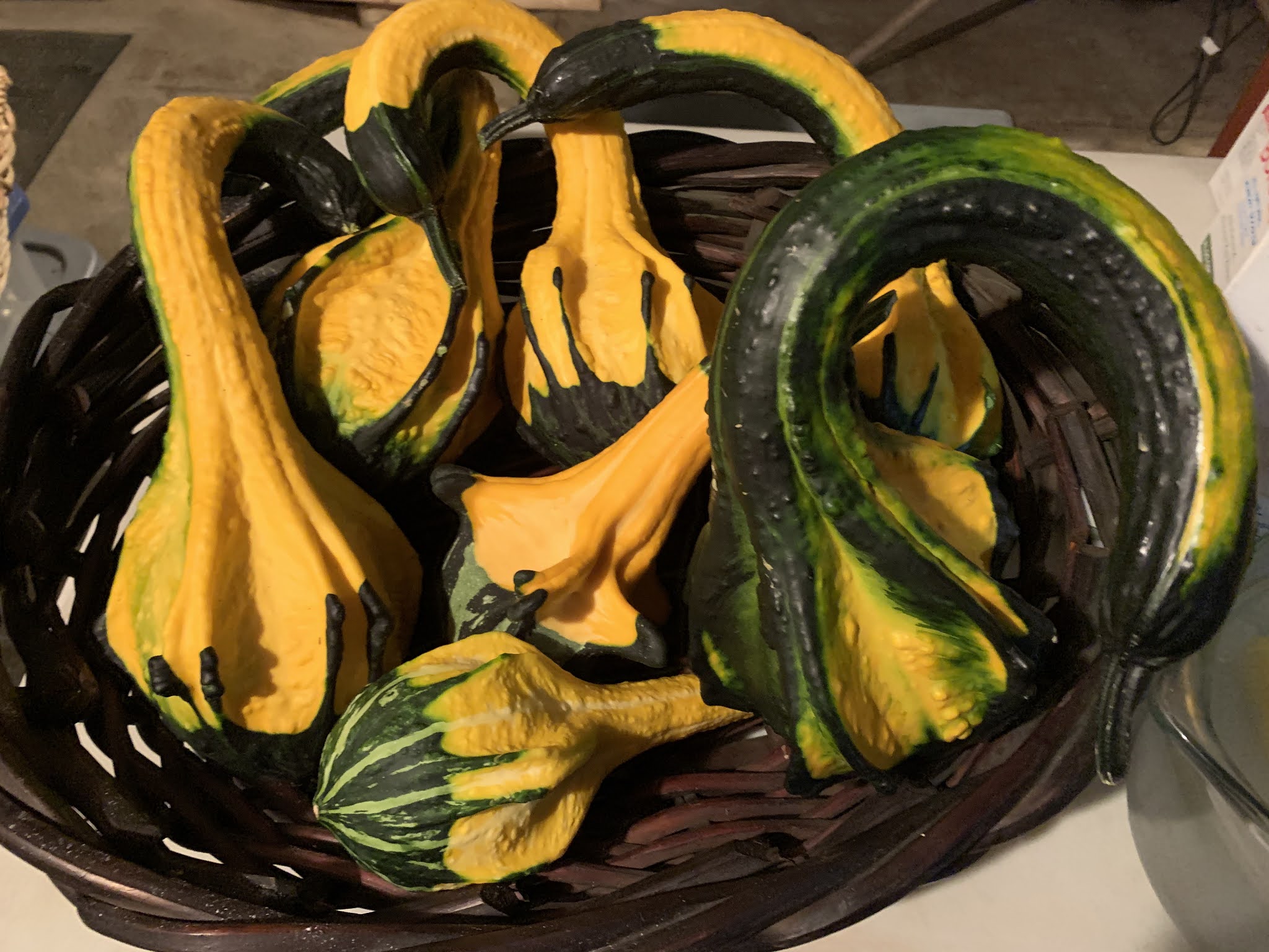 Cooking with Barry & Meta Preserving Gourds a nonedible kitchen pro