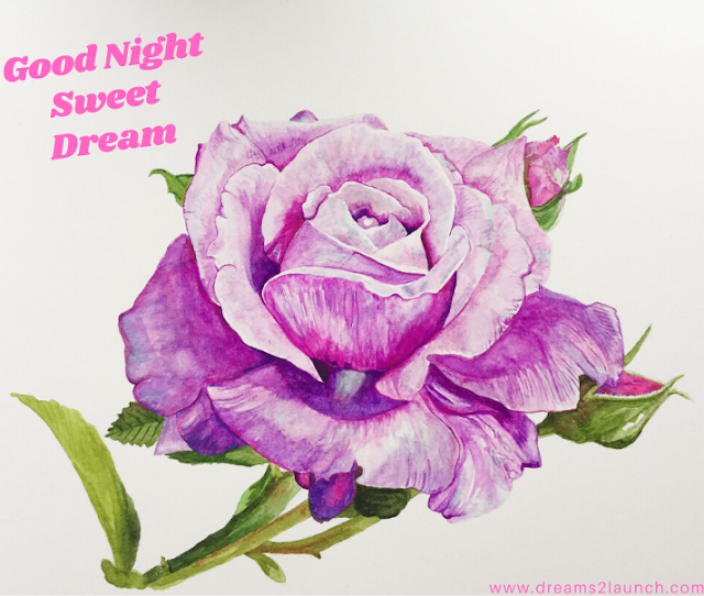 good night rose flower