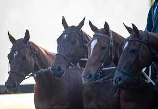 Polo: confirmaron los equipos inscriptos para la Triple Corona 2021.