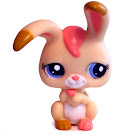 Littlest Pet Shop Multi Pack Rabbit (#1899) Pet