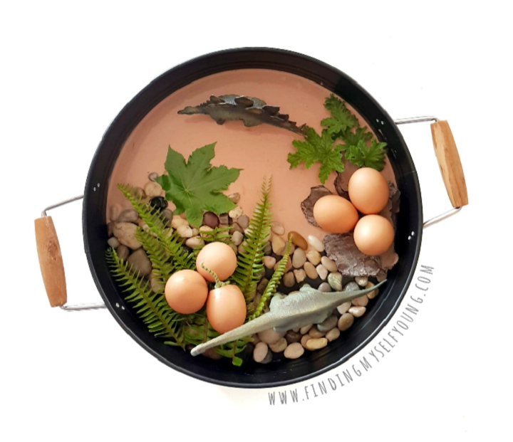 hatching dinosaur egg kmart