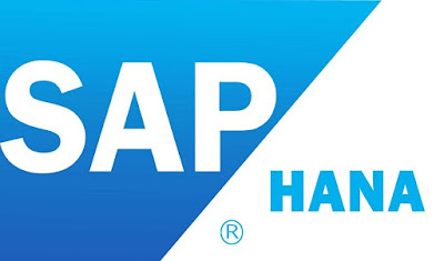 Error Handling in HANA, SAP HANA Exam Prep, SAP HANA Learning, SAP HANA Certification, SAP HANA Career, SAP HANA Learning
