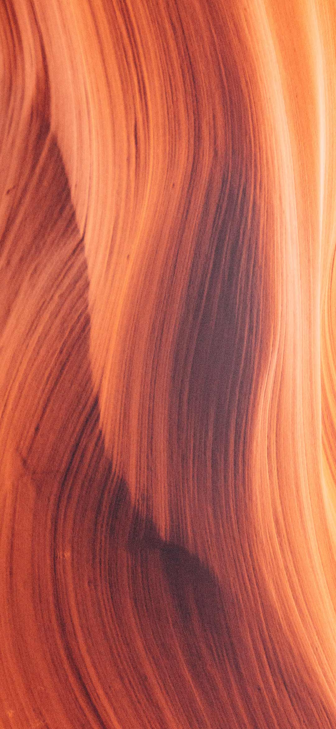 خلفيات بسيطة ورقة شجر تلال الرمال