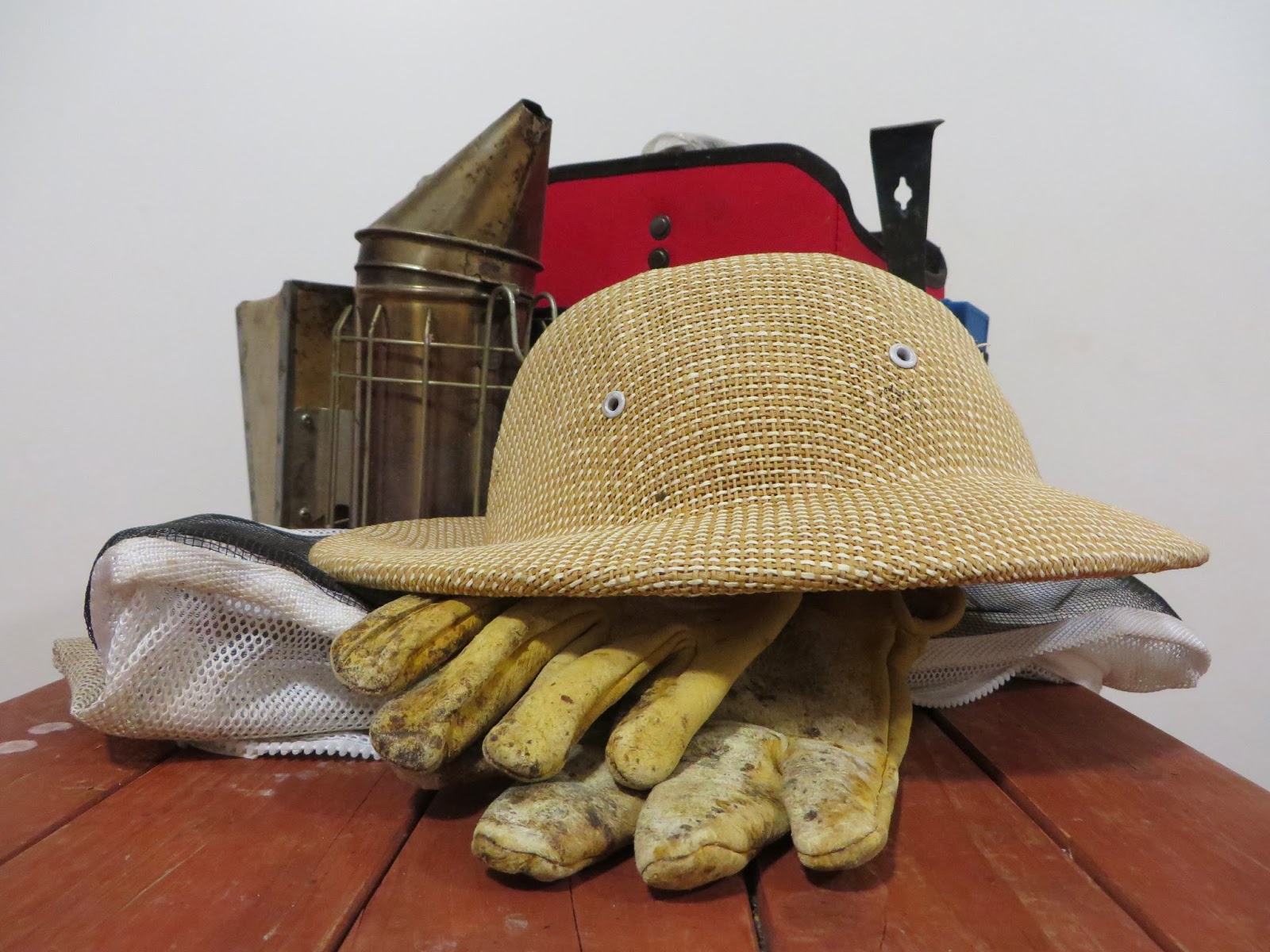 Maria's Bees: Think Spring: Evaluating Bee Hive Kits and the Beekeeping ...