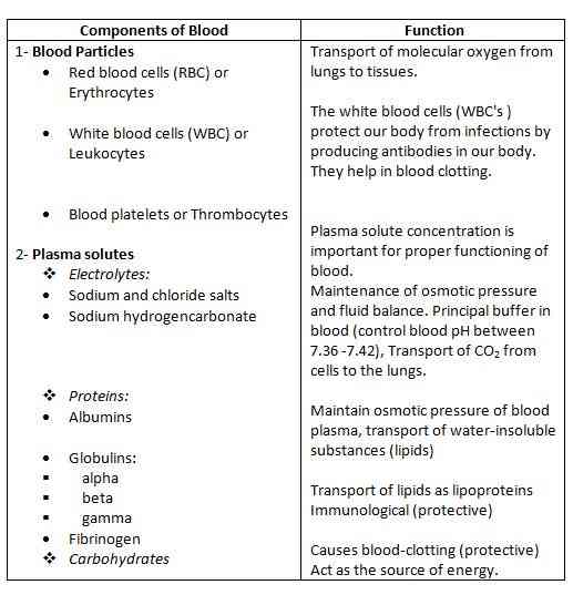 What Is Blood Made Up Of Various Components Of Blood And Functions