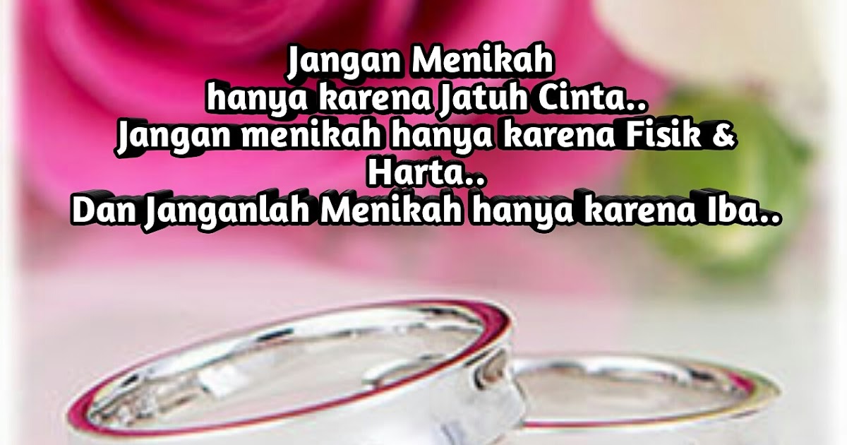 wahai kau cinta free download wahai kau cinta free download