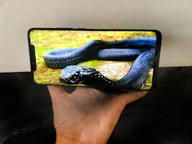 08-Black-Snake-Iantha-Naicker-3D-Art-www-designstack-co