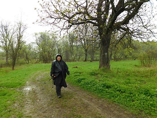 Po domostwach zostały tylko owocowe drzewa. Po domostwach zostały tylko owocowe drzewa.