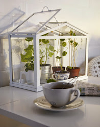 ikea mini greenhouse canada 4