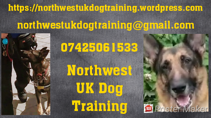 Northwest Uk Dog Training