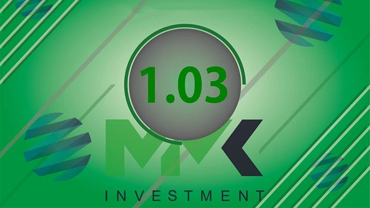 Отчет от проекта MMK Investment Отчет от MMK Investment