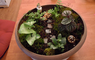Heather's Home and Garden: Faerie Garden!