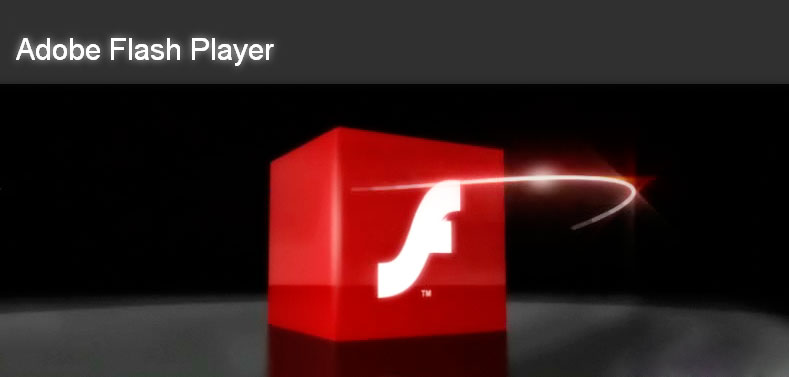 Flash Player анимация. Флеш плеер в формате swf анимации. Adobe Flash Player 11.7.700.169. Sony Flash Player.