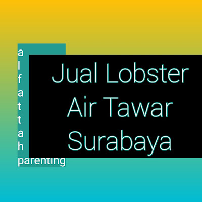 Jual Lobster Air Tawar Surabaya, Peluang Besar di Masa Pandemi Covid-19