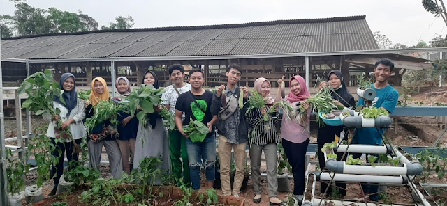 Foto tim Teman Berkebun