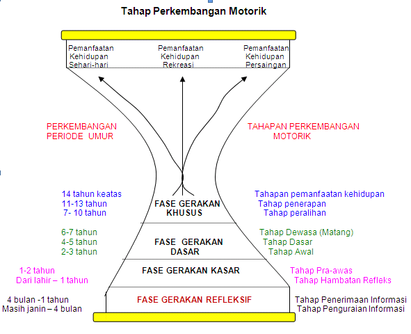 Penerapan Teori Perkembangan Gerak dalam Pembelajaran PJOK