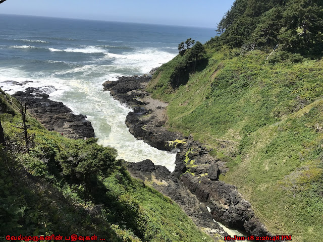 Devil's Churn Scenic Overlook