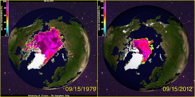 Arctic Sea Ice - then and now