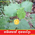 බෙහෙත් අනෝදා [Beheth Anoda] (Abutilon indicum)