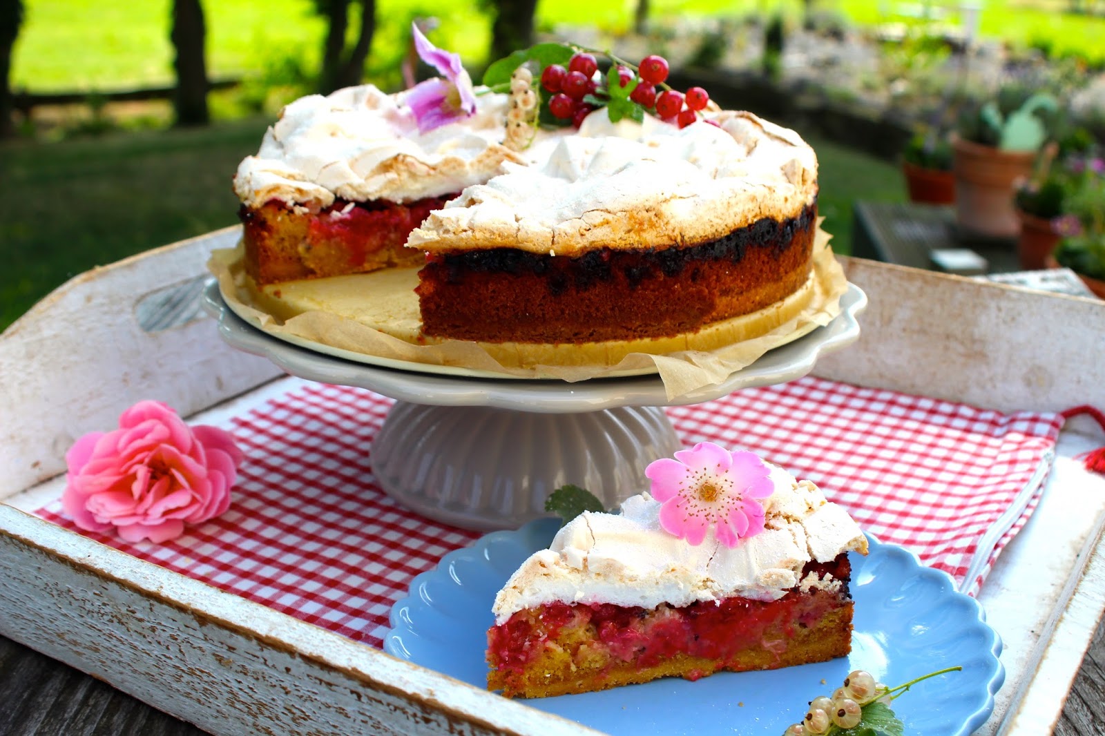 Paulas Frauchen: Traumhafter Johannisbeerkuchen mit gerösteten Mandeln ...