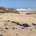 Marinha confirma novas manchas de óleo no Delta do Parnaíba