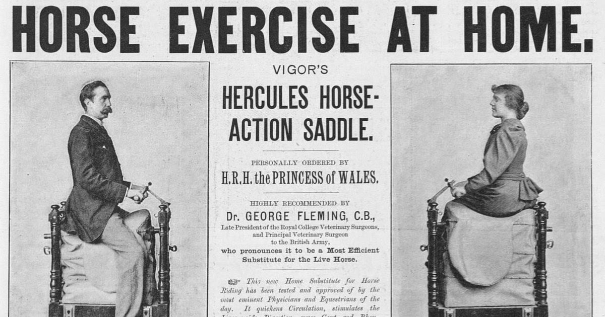 Horse Exercise at Home Vintage Vigor's HorseAction Saddle Ads From