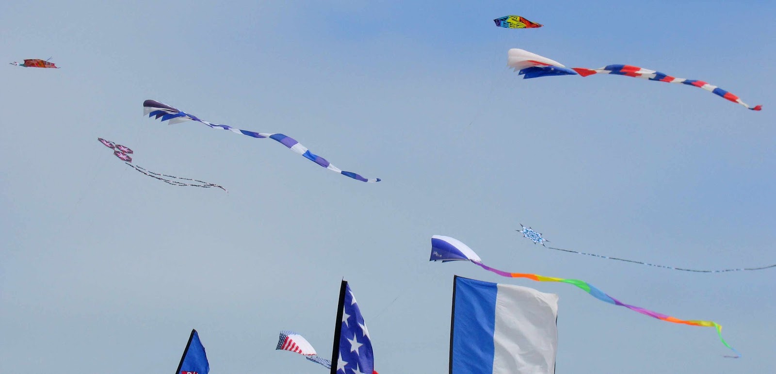 Wandering His Wonders South Padre Island Kite Festival