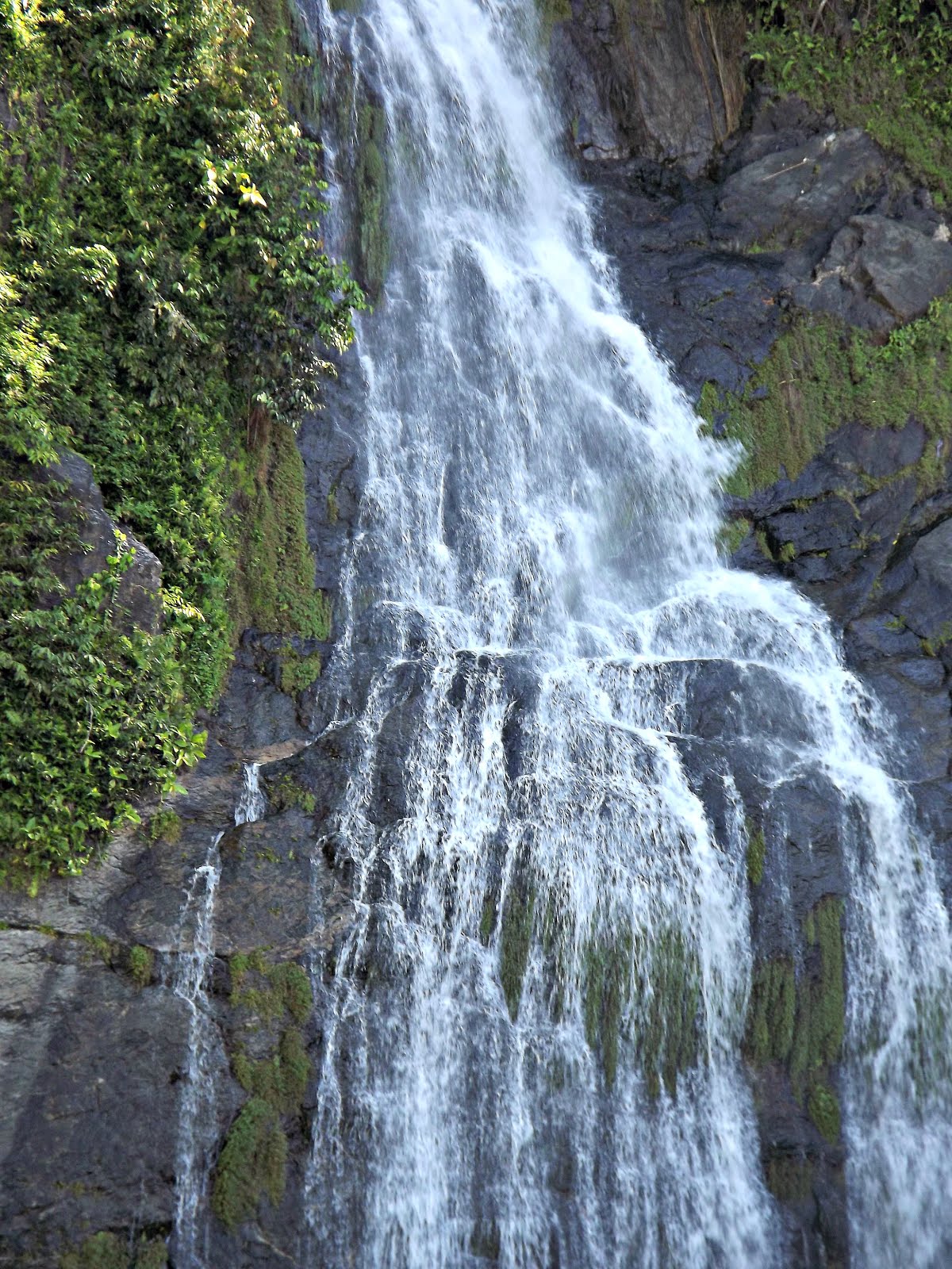 Barron Falls QLD