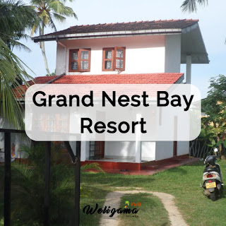 Grand Nest Bay Resort | Rent Houses and Apartments in Weligama Sri Lanka