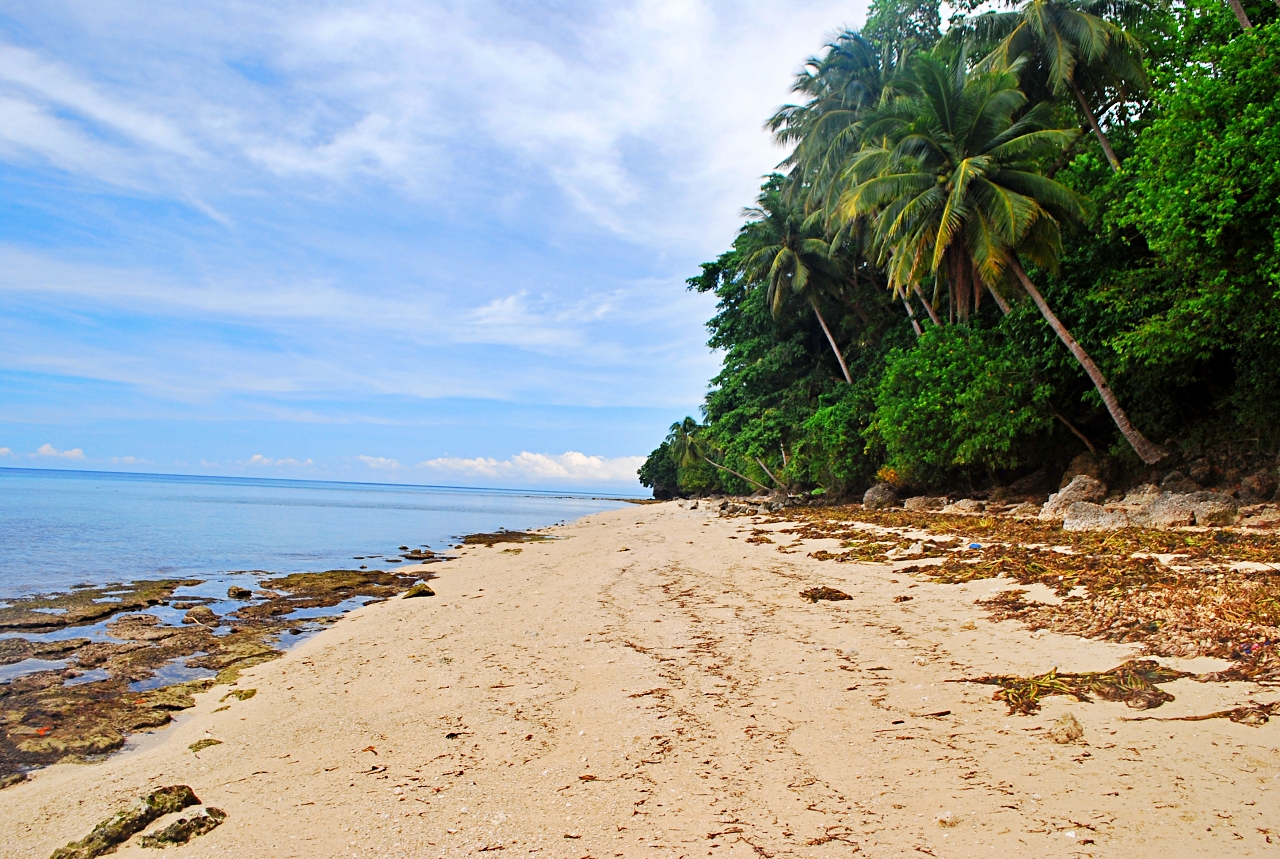 Throwing Coins at Rio Grande and the Fictional Apocalyptic Island of Bongo Nomadic Experiences