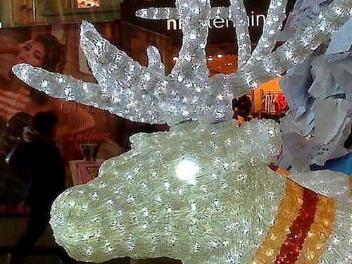 L'albero dei desideri alla stazione Termini