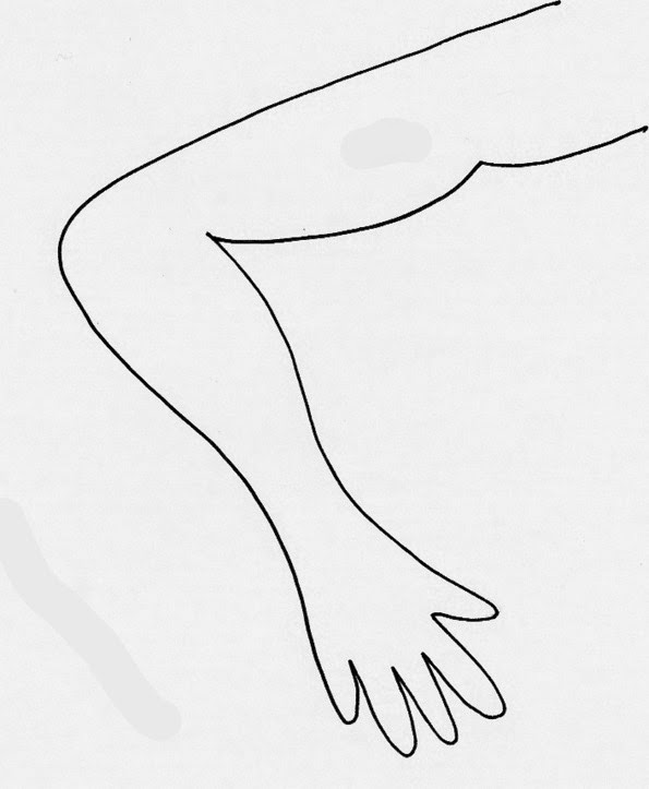 Gatibook janvier 2015