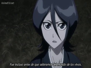 Ver Bleach Invasión Armada al Gotei 13 - Capítulo 318