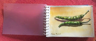 Water colour travel sketch book by Manju Panchal