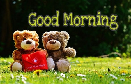 Share chat Good morning images Share chat Good morning images