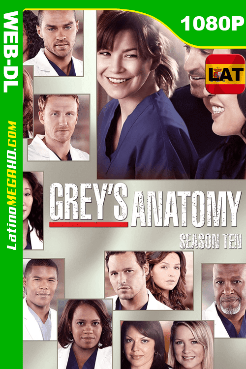 Anatomía según Grey (2013) Temporada 10 Latino HD WEB-DL 1080P ()