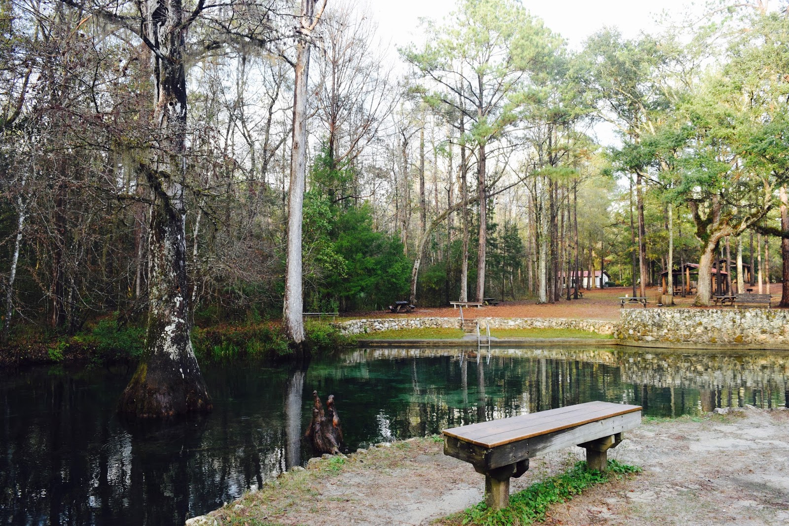 Shanna's Adventures Ponce De Leon Springs State Park