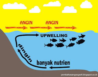 nutrien upwelling