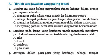 Uji Kompetensi 8 Sistem Pernapasan Manusia Ipa Kelas 8 Halaman 76 Kkaktri Channel Info Pendidikan