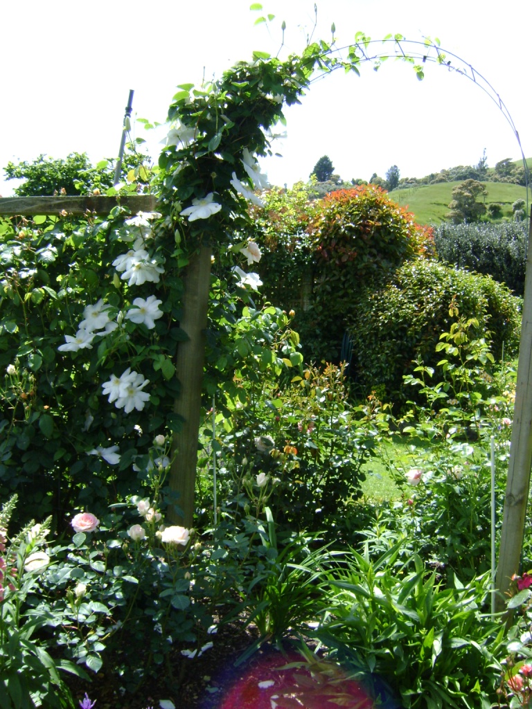 G3 Tauranga Fothergills