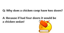 chicken funny jokes puns quotes coop humor liners riddles why tapori doors did baba witty whatsapp does sanders
