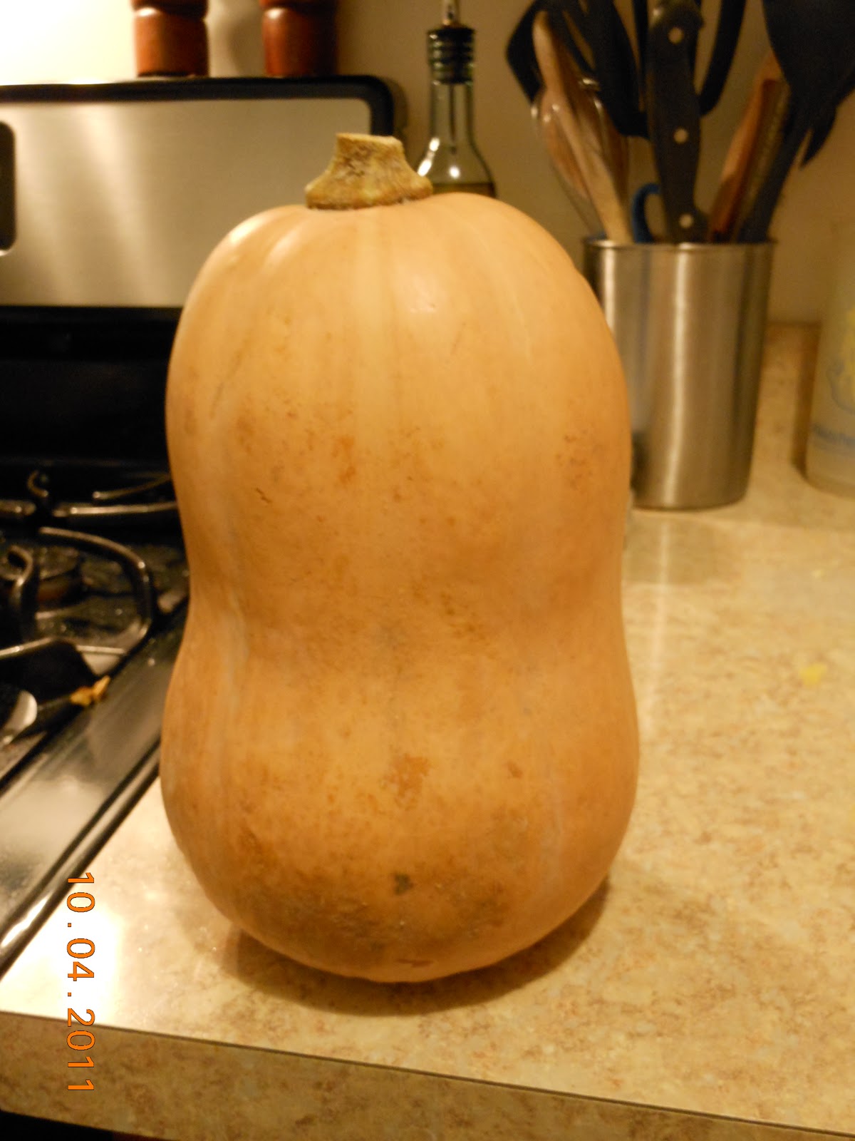 bearded dragon eating butternut squash