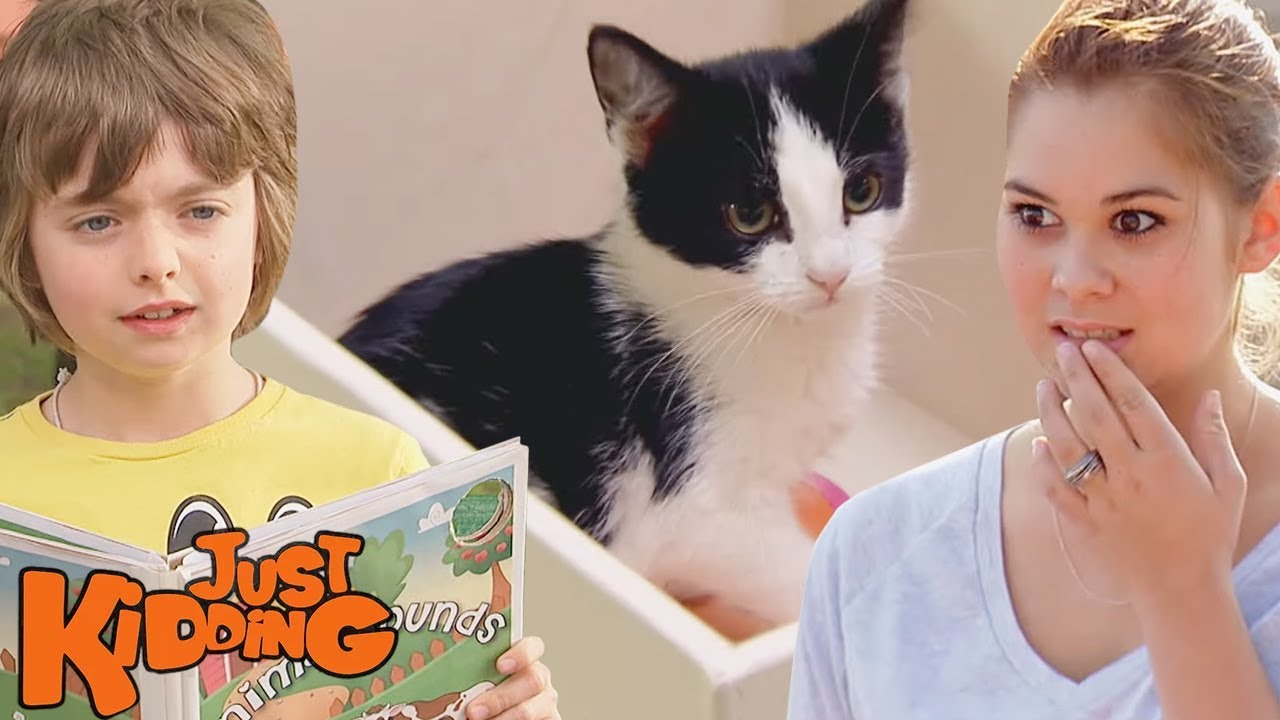 Best of Animal Pranks Just Kidding Pranks Compilation ShowPodZone