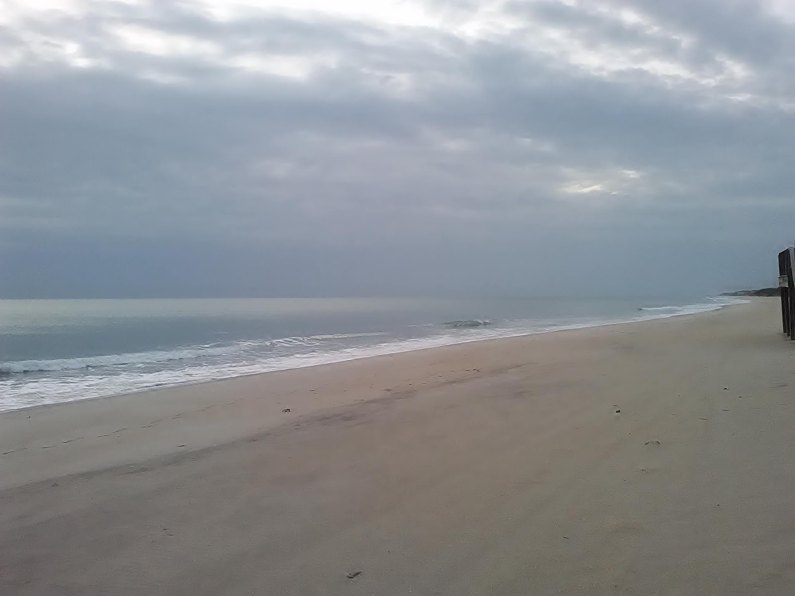 The Treasure Beaches Report Direct From Florida's Treasure Coast. 4/17