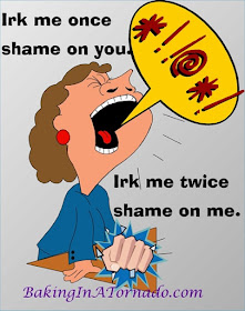 Irk me once, shame on you. Irk me twice, shame on me. | Graphic designed by and property of www.BakingInATornado.com | #humor #life