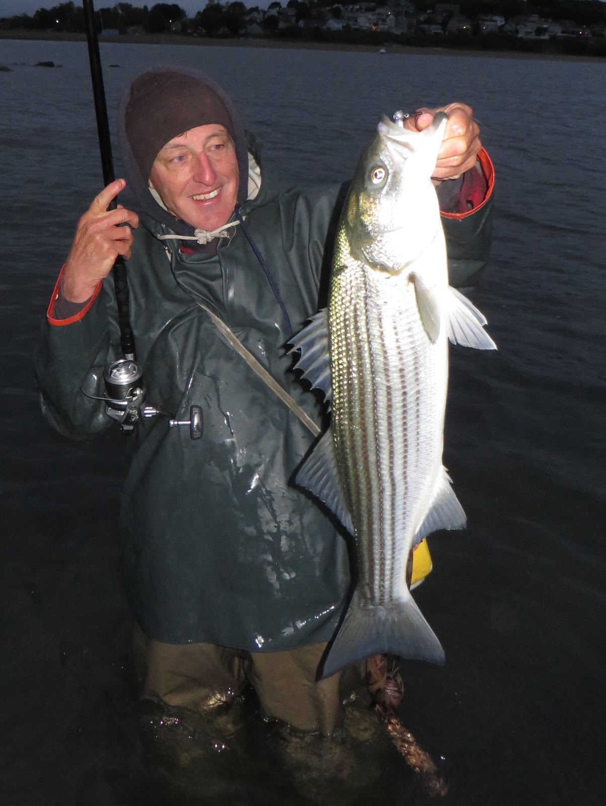 Rhode Island Striped Bass May 2017